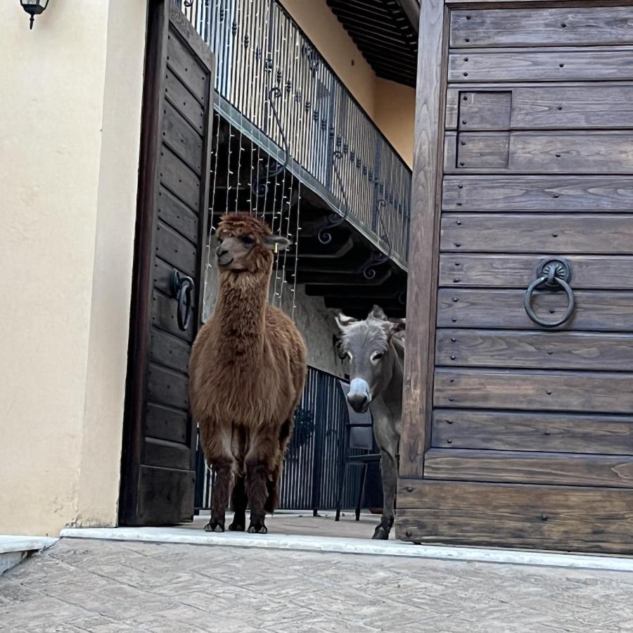 Borgo Incantato Spoleto Pompagnano Eksteriør bilde